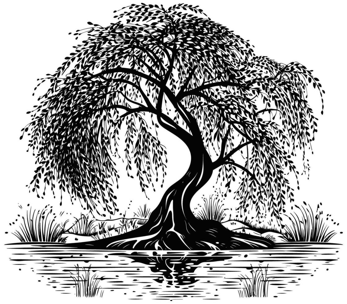 Willow Tree Black and White vector