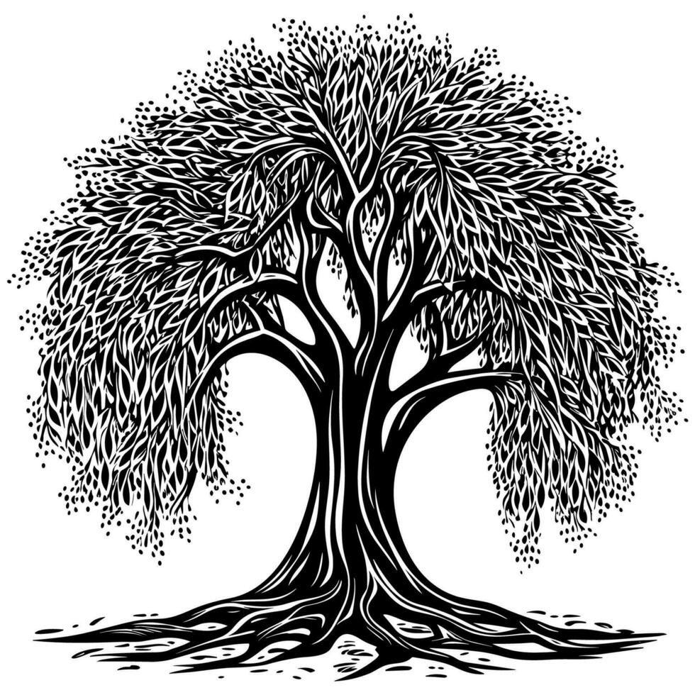 Willow Tree Black and White vector