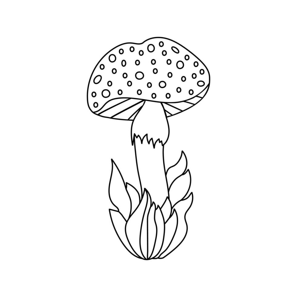 Hand drawn mushroom in grass, doodle cute fly agaric in cartoon style. Isolated on white background. vector