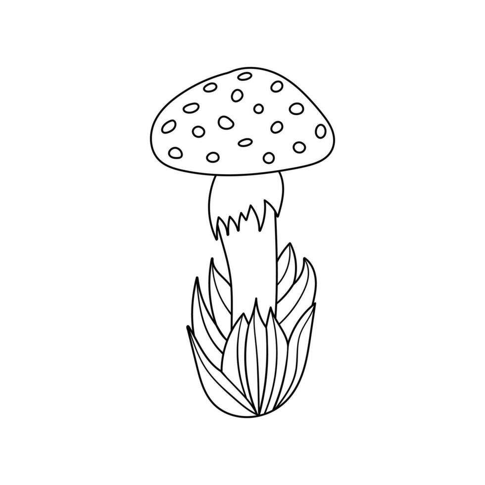 Hand drawn mushroom in grass, doodle cute fly agaric in cartoon style. Isolated on white background. vector