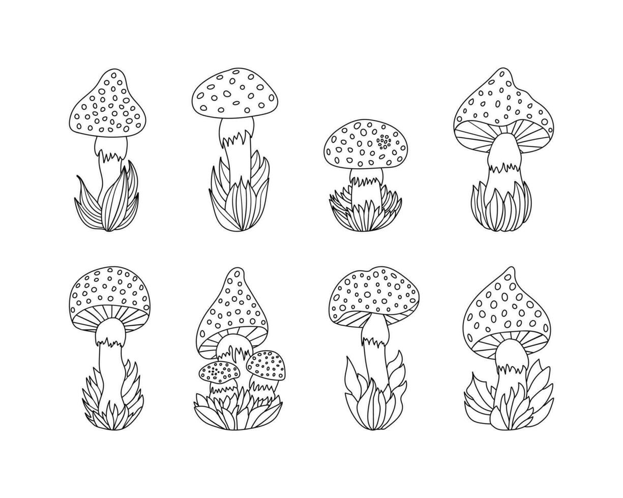 Set of various hand drawn mushrooms in grass, doodle cute fly agaric in cartoon style.Isolated on white background. vector
