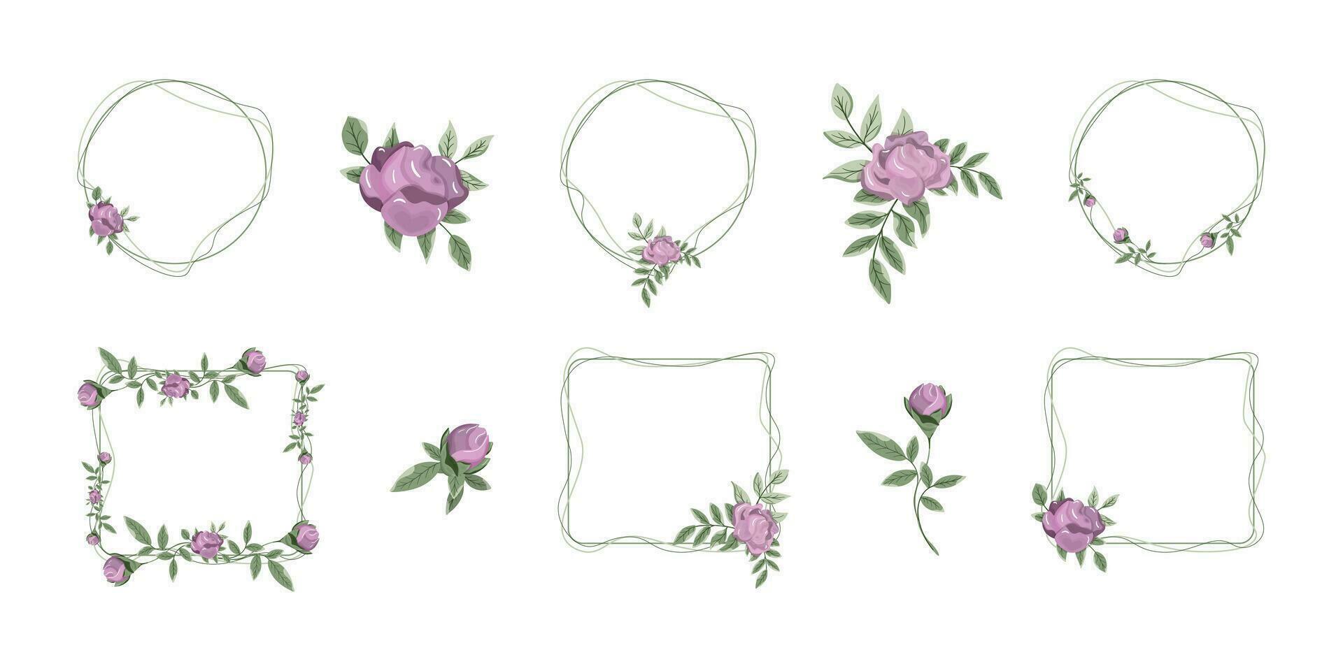 Set of cute purple rose flowers with stems with leaves for wedding templates, round and square frames with rose flowers, wedding floral and herbal elements. Isolated on white background vector