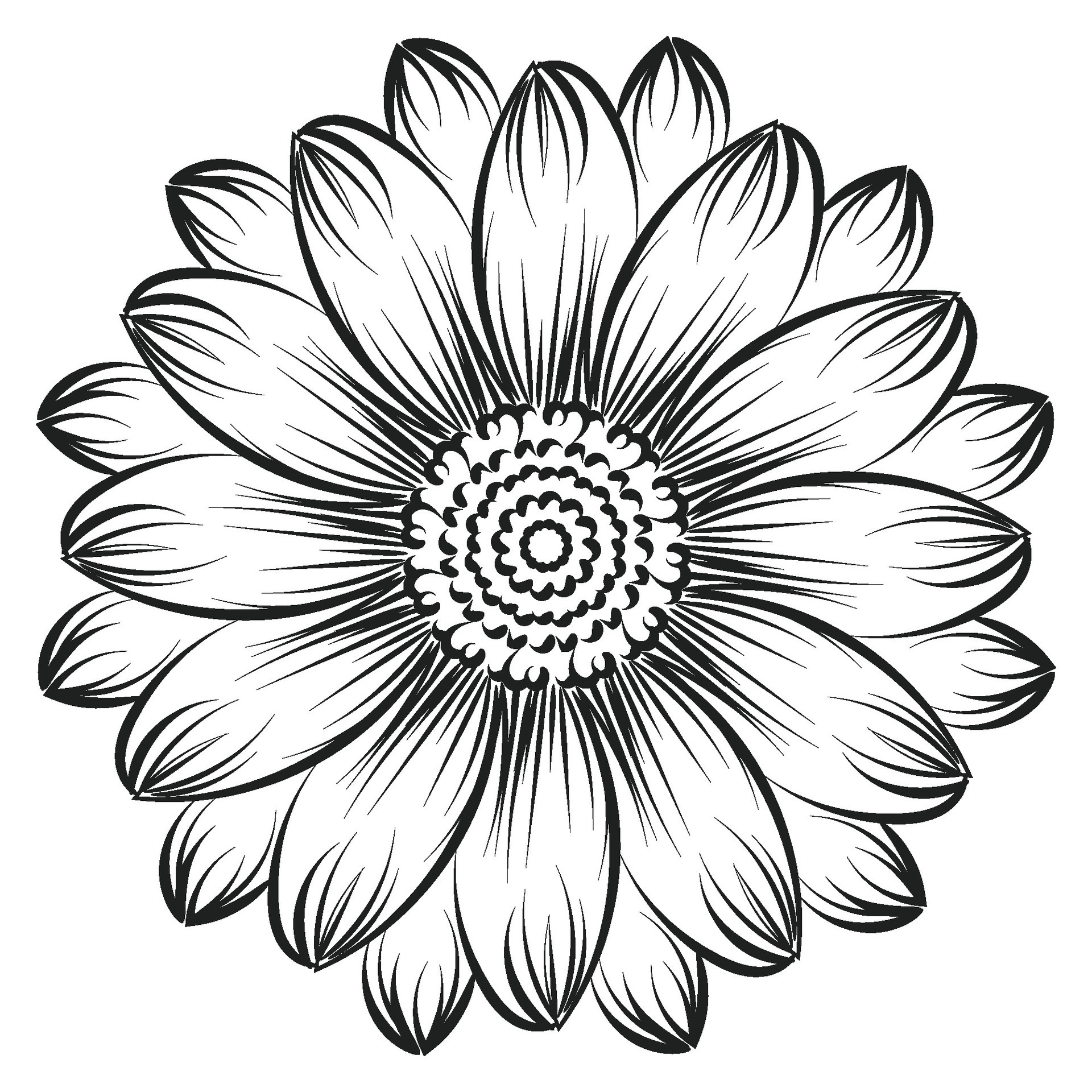 sunflower-outline-sunflower-line-art-floral-line-drawing-black-and