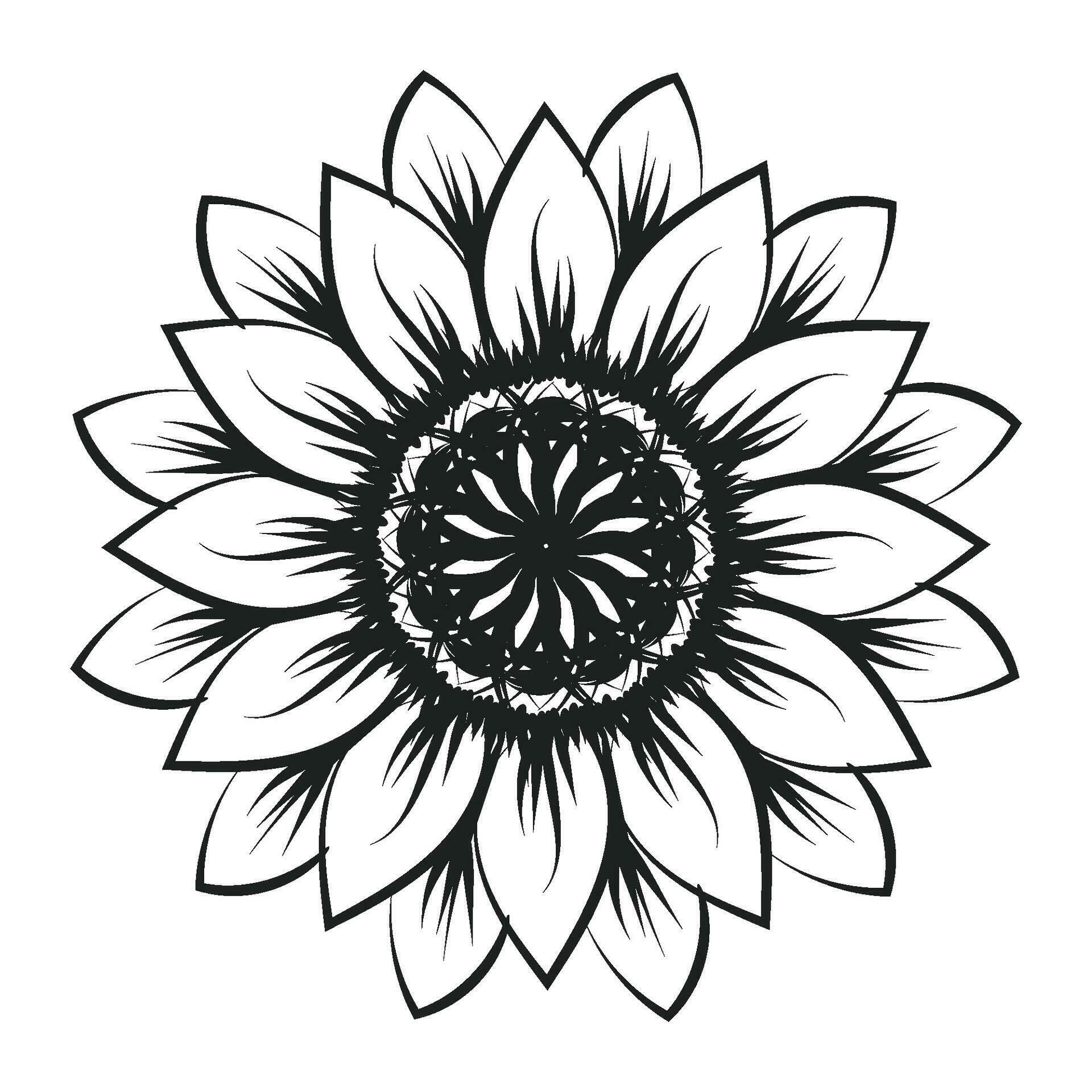 Sunflower Outline, Sunflower Line Art, Floral Line Drawing, black and