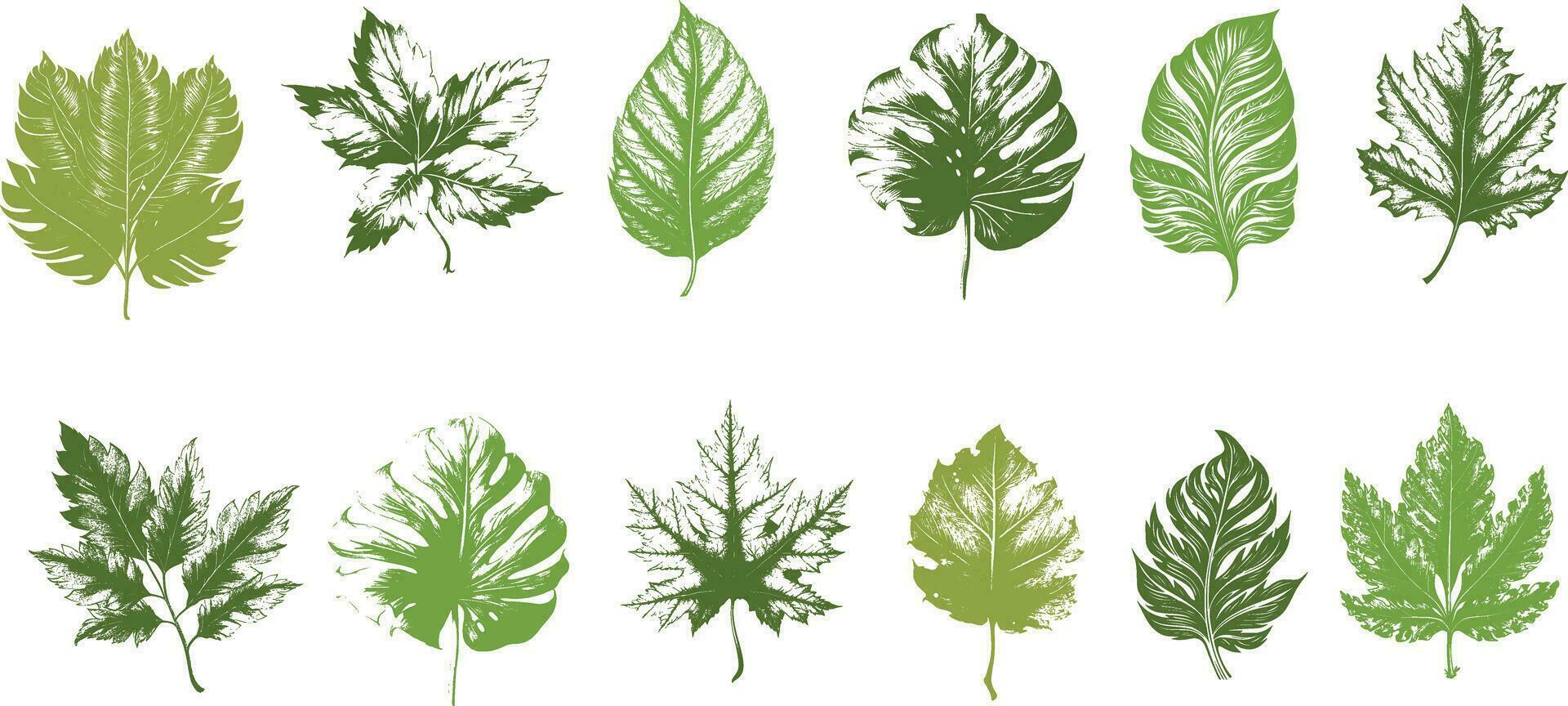 Set green leaves Collection vector for design background