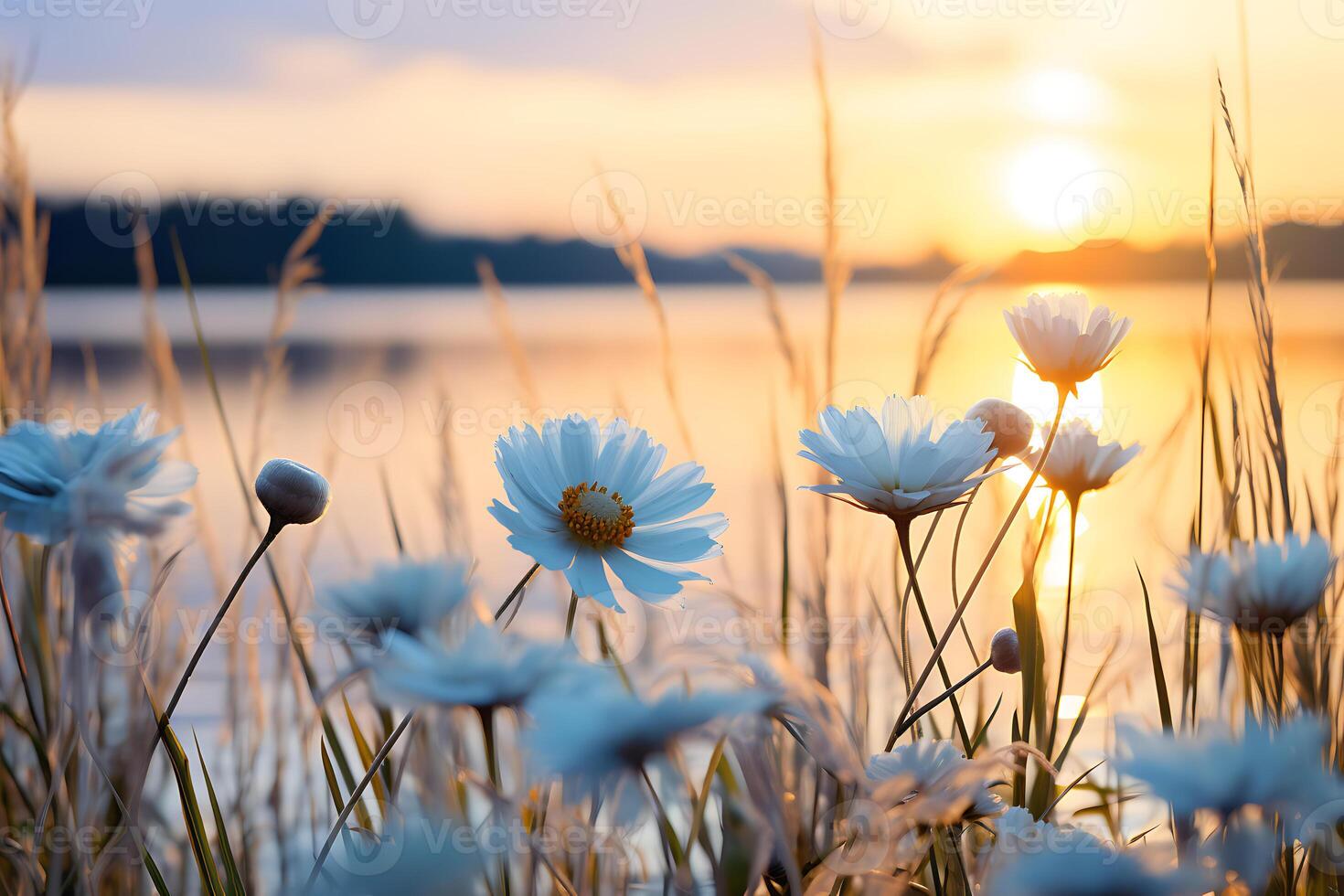 A beautiful winter landscape with a floral in the calm lake photo