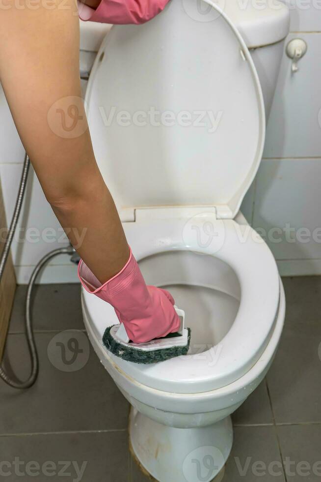 Woman cleaning toilet photo