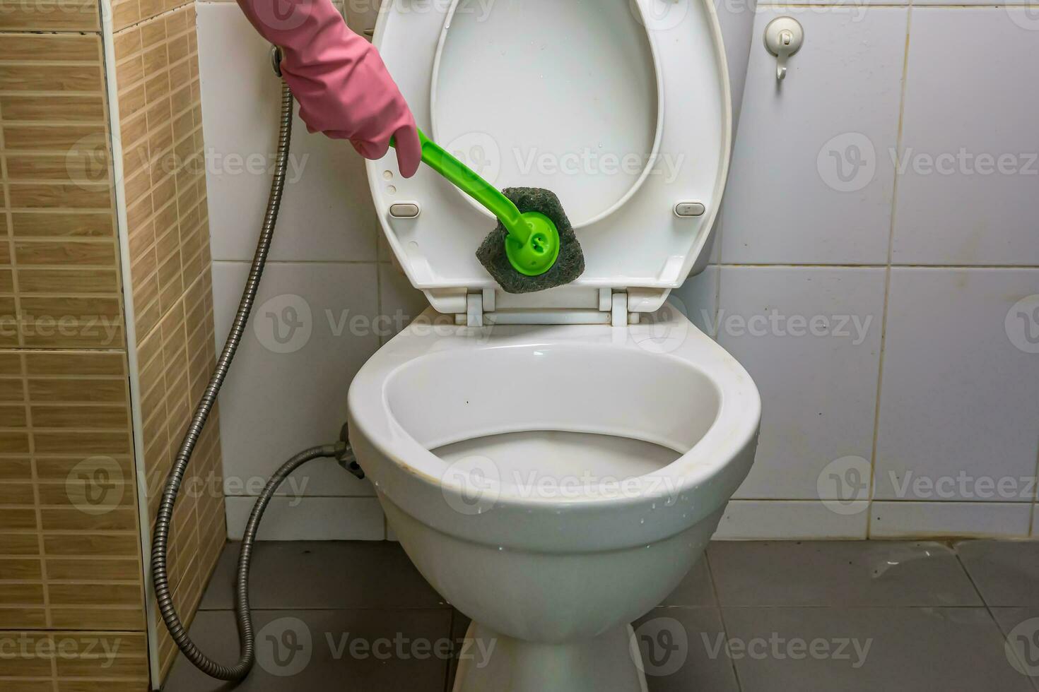 Woman cleaning toilet photo