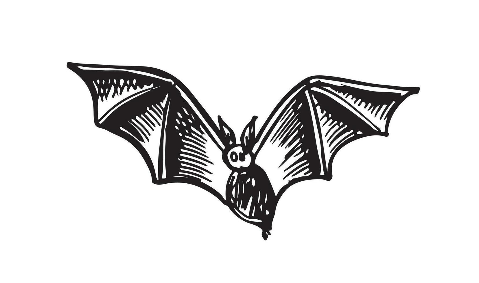 Flying bat, grunge illustration, vector. vector