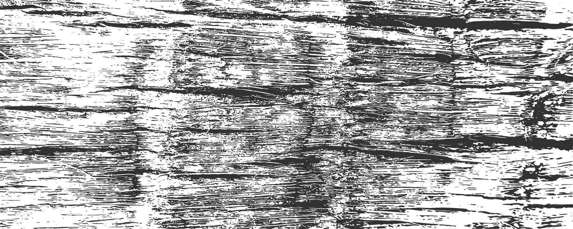 Grunge coconut palm bark texture background. Adged tree stem log. Vector