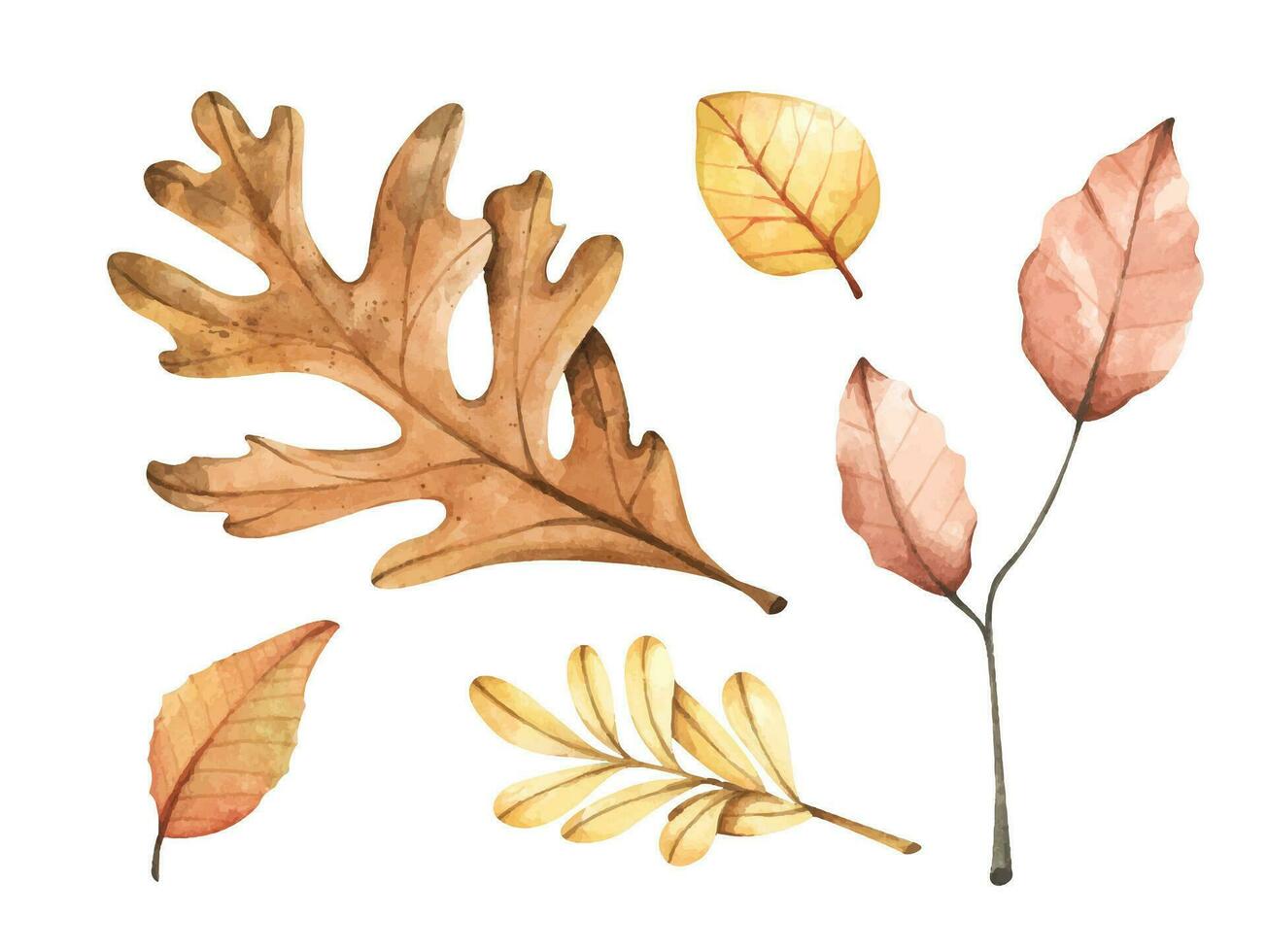 Collection of multicolored fallen autumn leaves. Watercolor illustration. vector