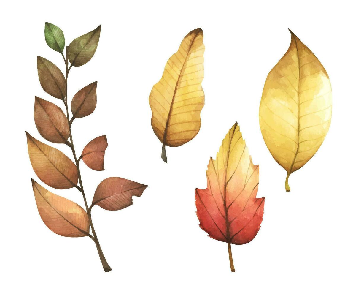 Collection of multicolored fallen autumn leaves. Watercolor illustration. vector