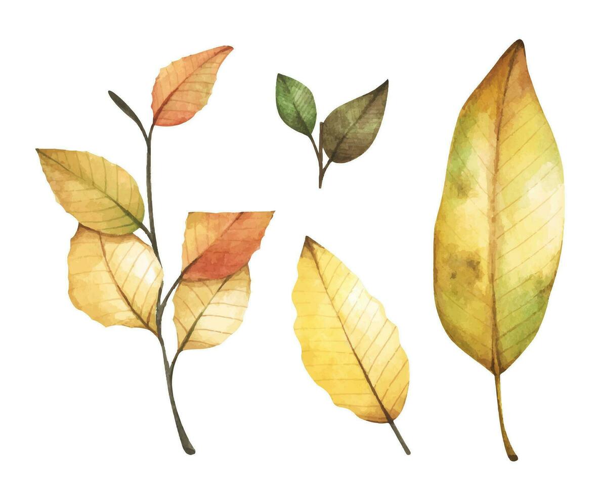 Collection of multicolored fallen autumn leaves. Watercolor illustration. vector