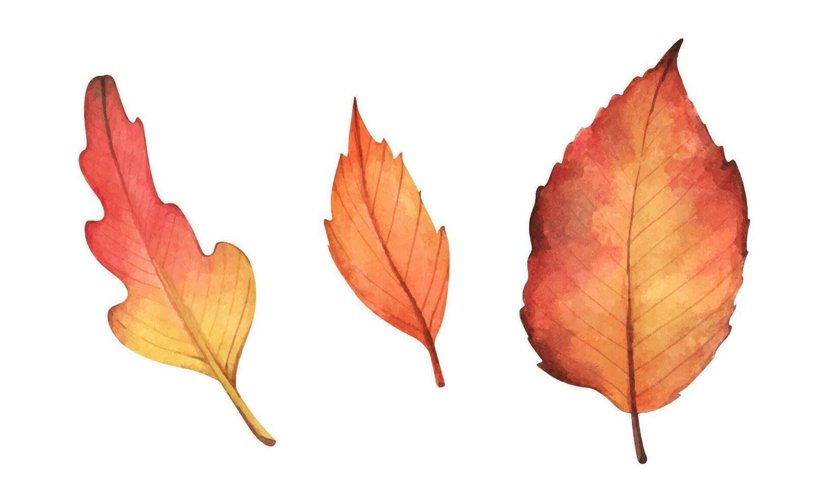 Collection of multicolored fallen autumn leaves. Watercolor illustration. vector