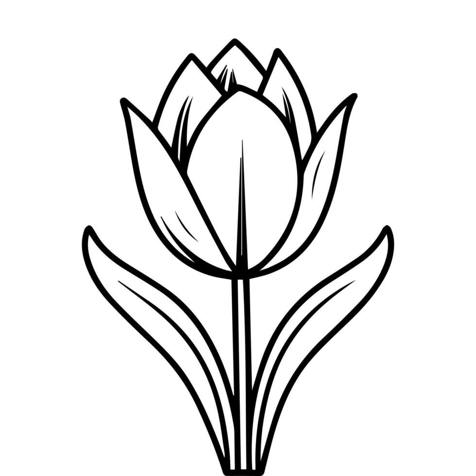 Contour illustration of a tulip. Black line drawing of a flower. Sublimation, print, logo, icon vector