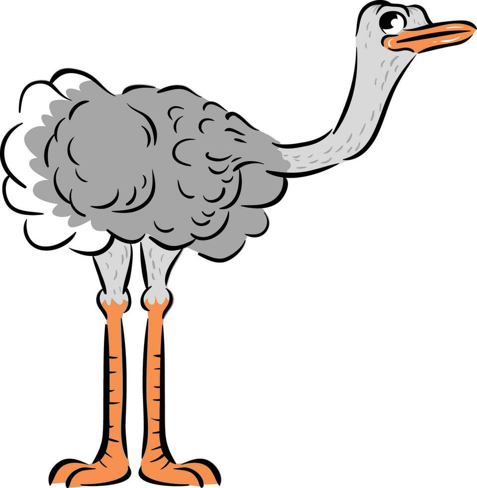 Ostrich in flat style isolated on white background. Cartoon ostrich. African animal zoo bird. Vector illustration.