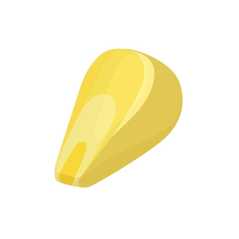 Corn grain in cartoon style. One seed of corn on the cob. Seeds and organic food vector