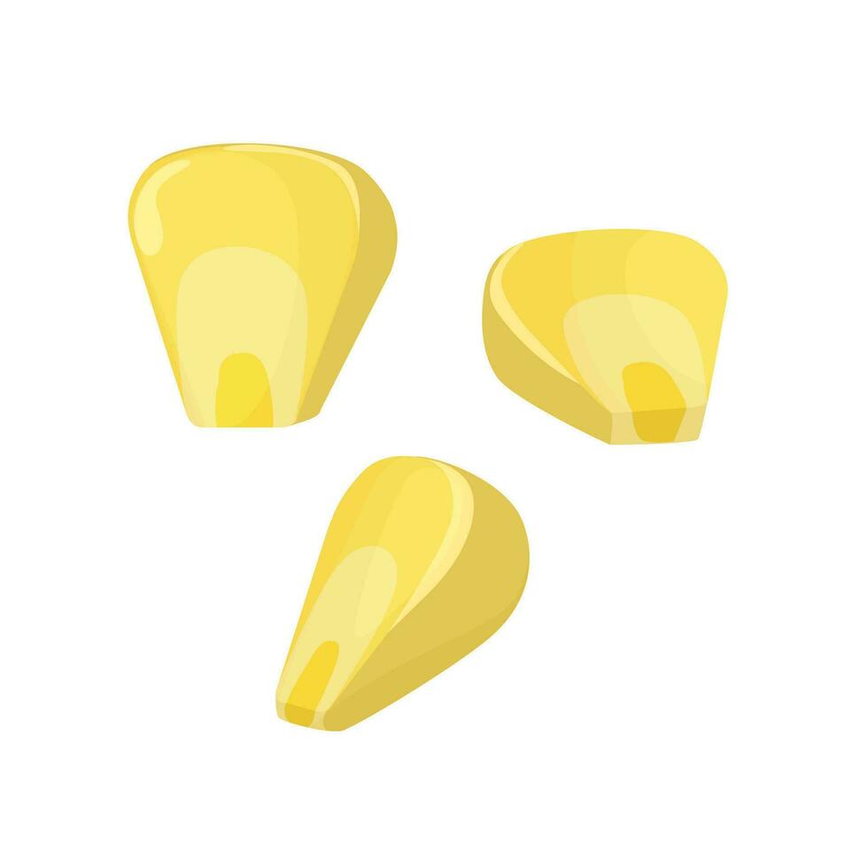 Corn kernels 3 pieces in cartoon style. Organic food, yellow corn seeds one by one vector