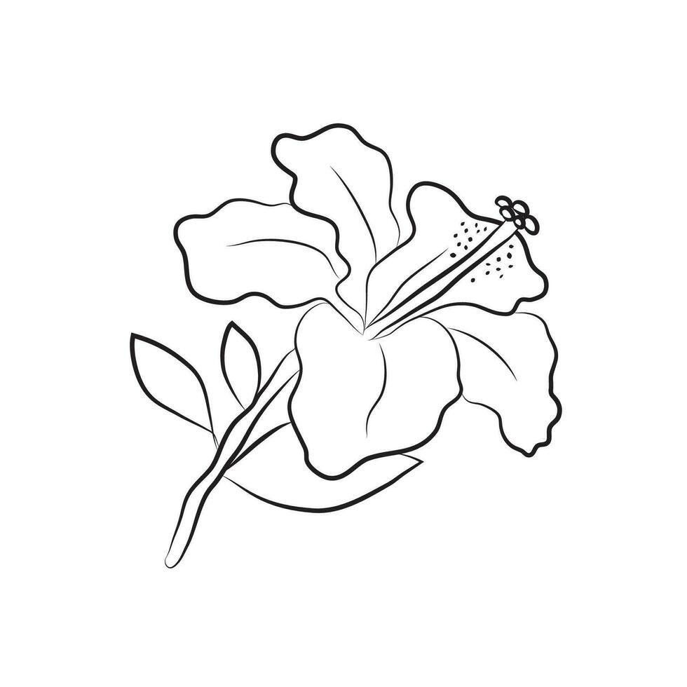 Hibiscus flower drawn by lines. Isolated bud on a branch. For invitations and valentine cards vector