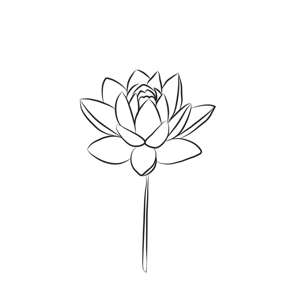 The lotus flower is drawn with a line. Water lily isolate. Doodle drawing lotus for invitations, stamps or business cards vector