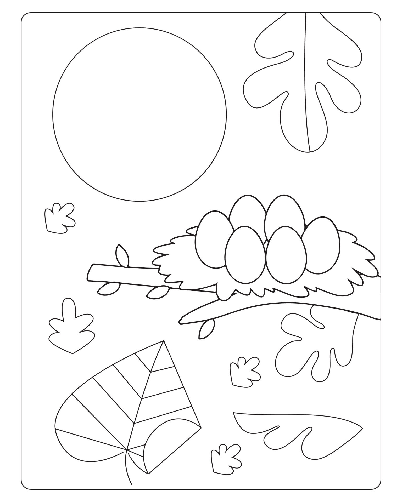 Autumn Coloring Pages for Kids 25880417 Vector Art