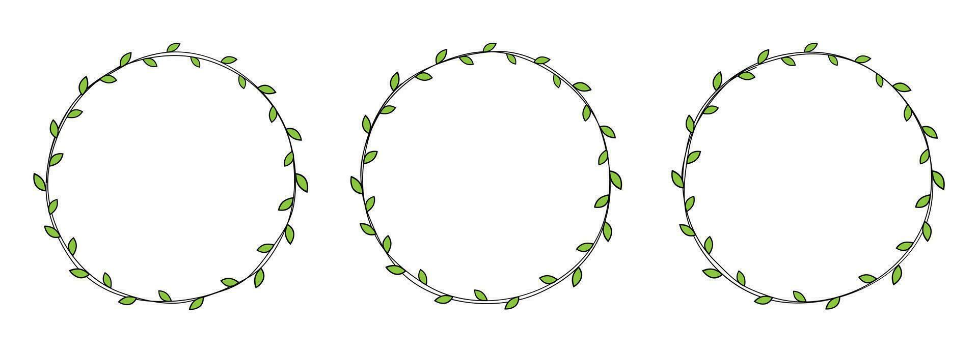 mano dibujado circulo marco decoración elemento con hojas acortar Arte vector