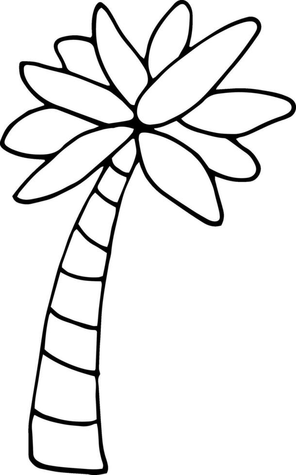 Hand-drawn cartoon palm tree, vector isolated illustration on white background