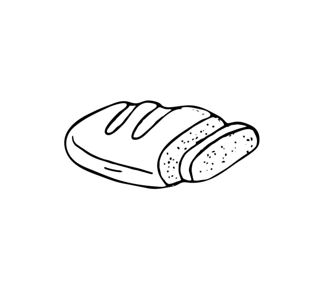 Hand drawn bread, food illustration, doodle isolated on white background vector