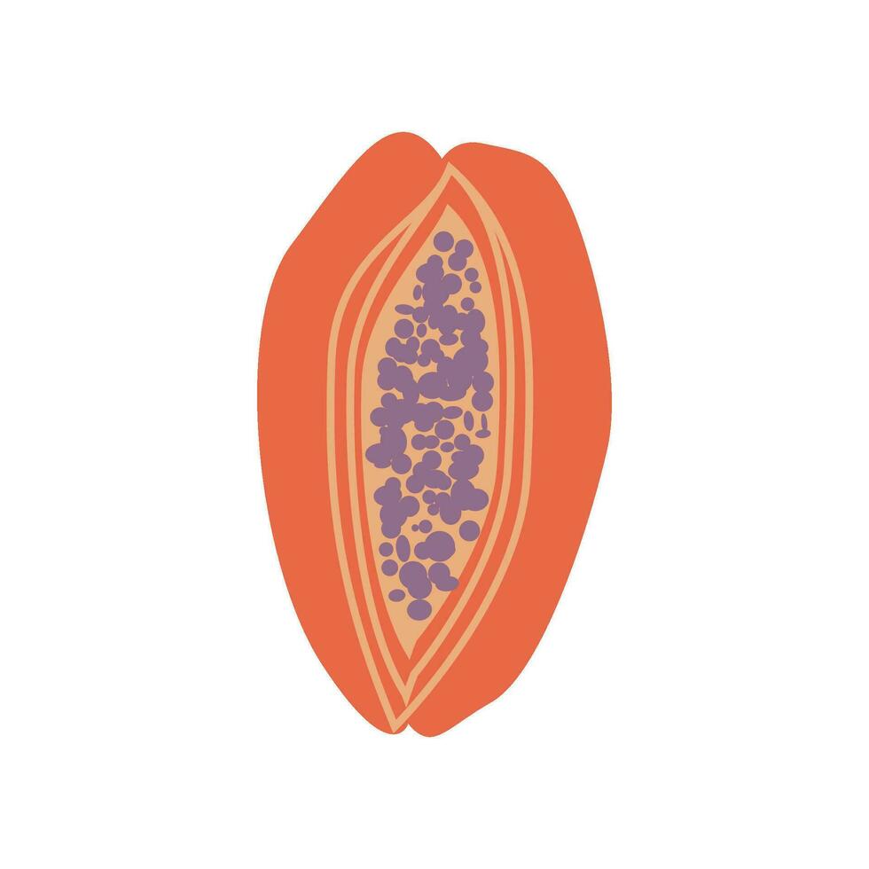 papaya Fresco orgánico Fruta vector