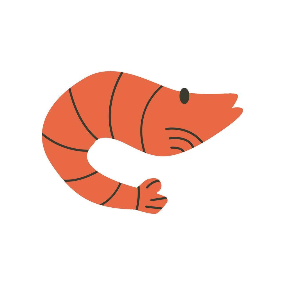 Orange shrimp on a white background element vector