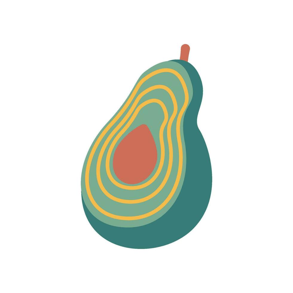 Avocado with bone  vector