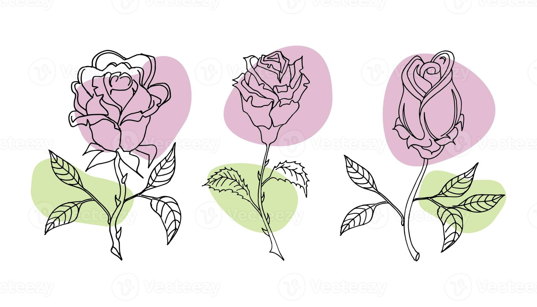 Flowers vector set illustration in simple minimal continuous outline line style. Nature blossom art for floral botanical logo design. Isolated on white background. photo