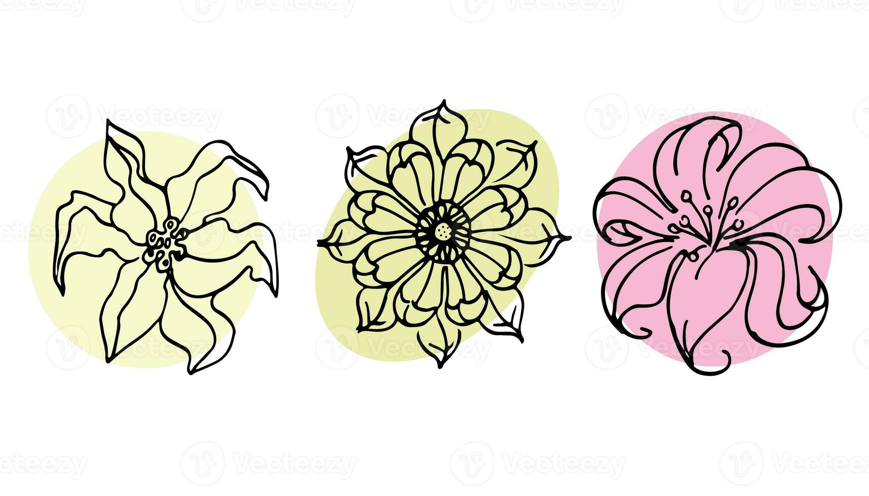 Flowers vector set illustration in simple minimal continuous outline line style. Nature blossom art for floral botanical logo design. Isolated on white background. photo