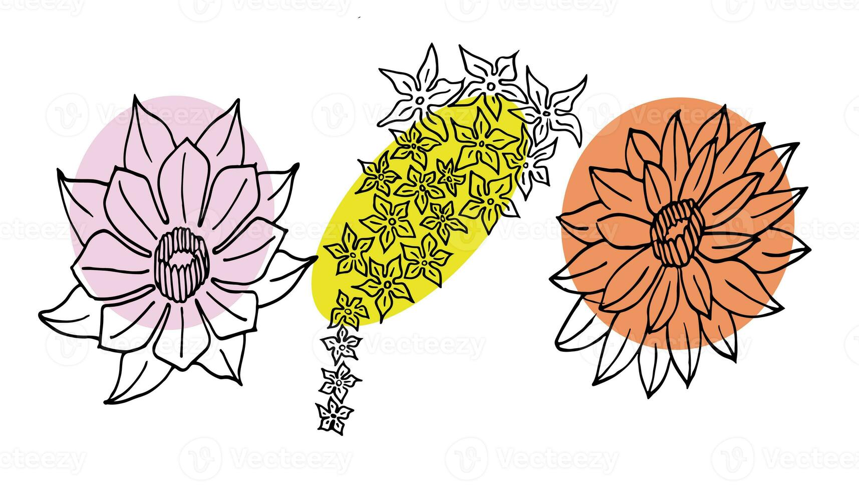 Flowers vector set illustration in simple minimal continuous outline line style. Nature blossom art for floral botanical logo design. Isolated on white background. photo