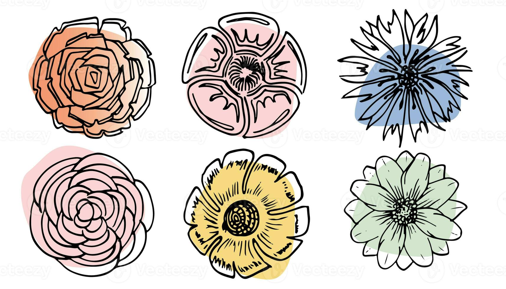 Flowers vector set illustration in simple minimal continuous outline line style. Nature blossom art for floral botanical logo design. Isolated on white background. photo