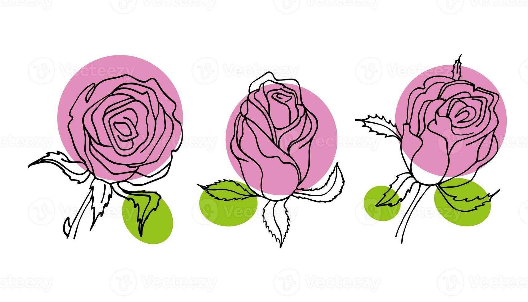 Flowers vector set illustration in simple minimal continuous outline line style. Nature blossom art for floral botanical logo design. Isolated on white background. photo