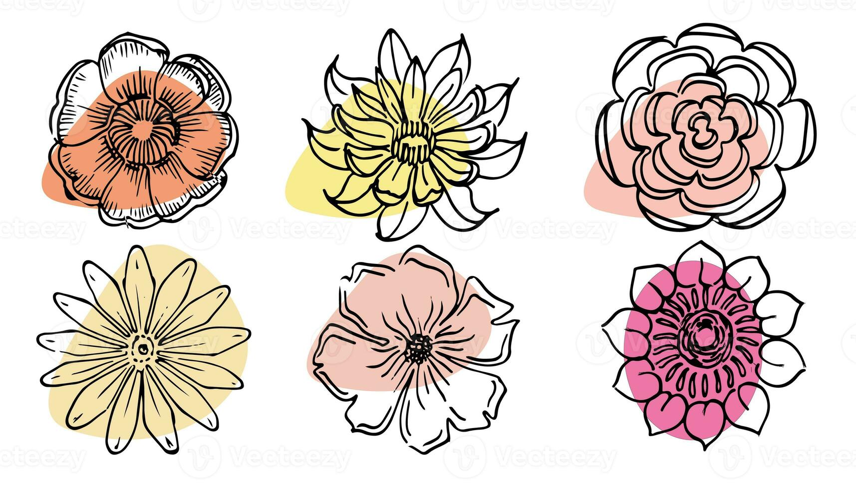 Flowers vector set illustration in simple minimal continuous outline line style. Nature blossom art for floral botanical logo design. Isolated on white background. photo