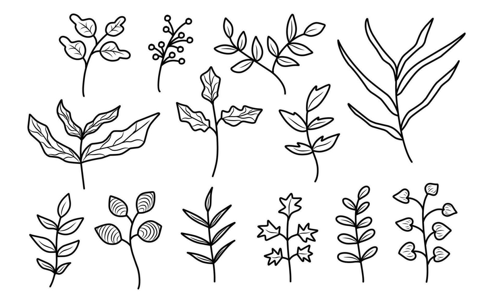 Doodle illustration of branches leaves in different plant. Floral hand drawn line art style. vector