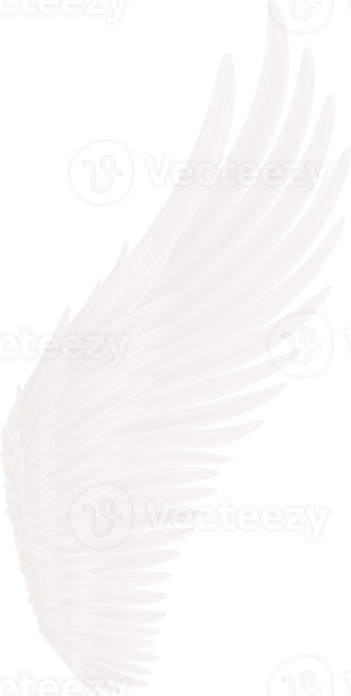 ailes d'ange blanches png