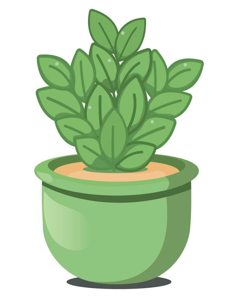 House plants in flower pots, vector