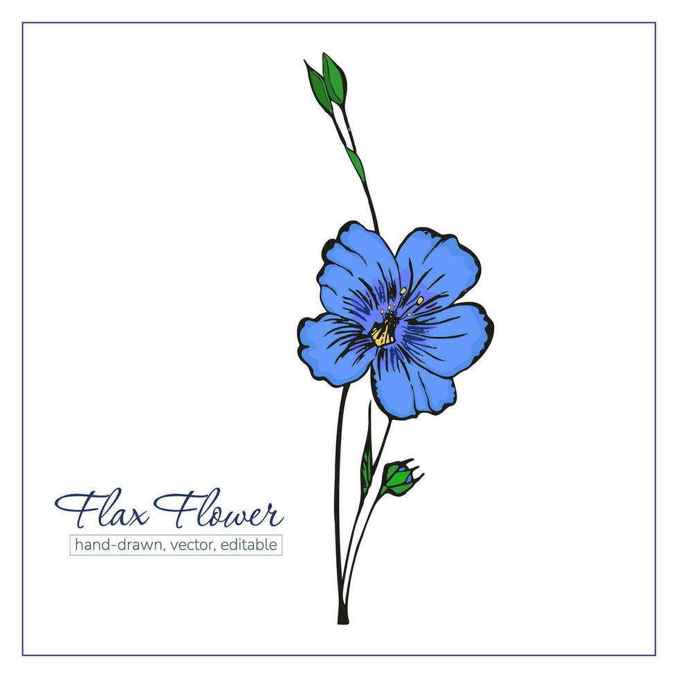 Colorful hand drawn flax flowers and flax seeds for design, decoration. Blue wildflower. vector