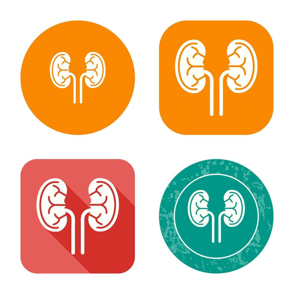 Kidney Vector Icon