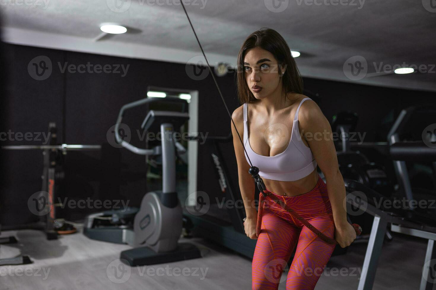 Sporty woman exercising on multistation at gym for arm and shoulders muscles. Fitness exercising in gym. photo