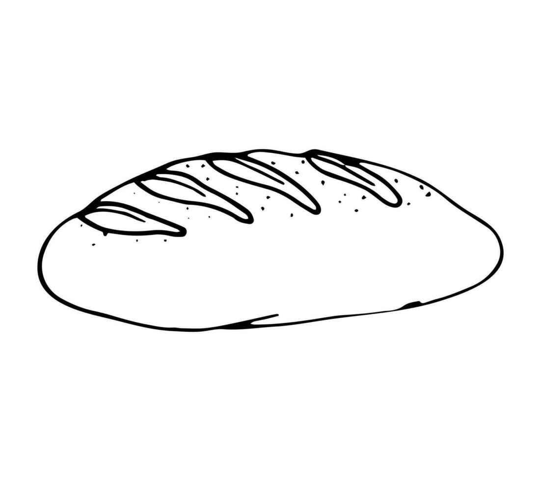 Hand-drawn loaf of bread isolated vector illustration on white background
