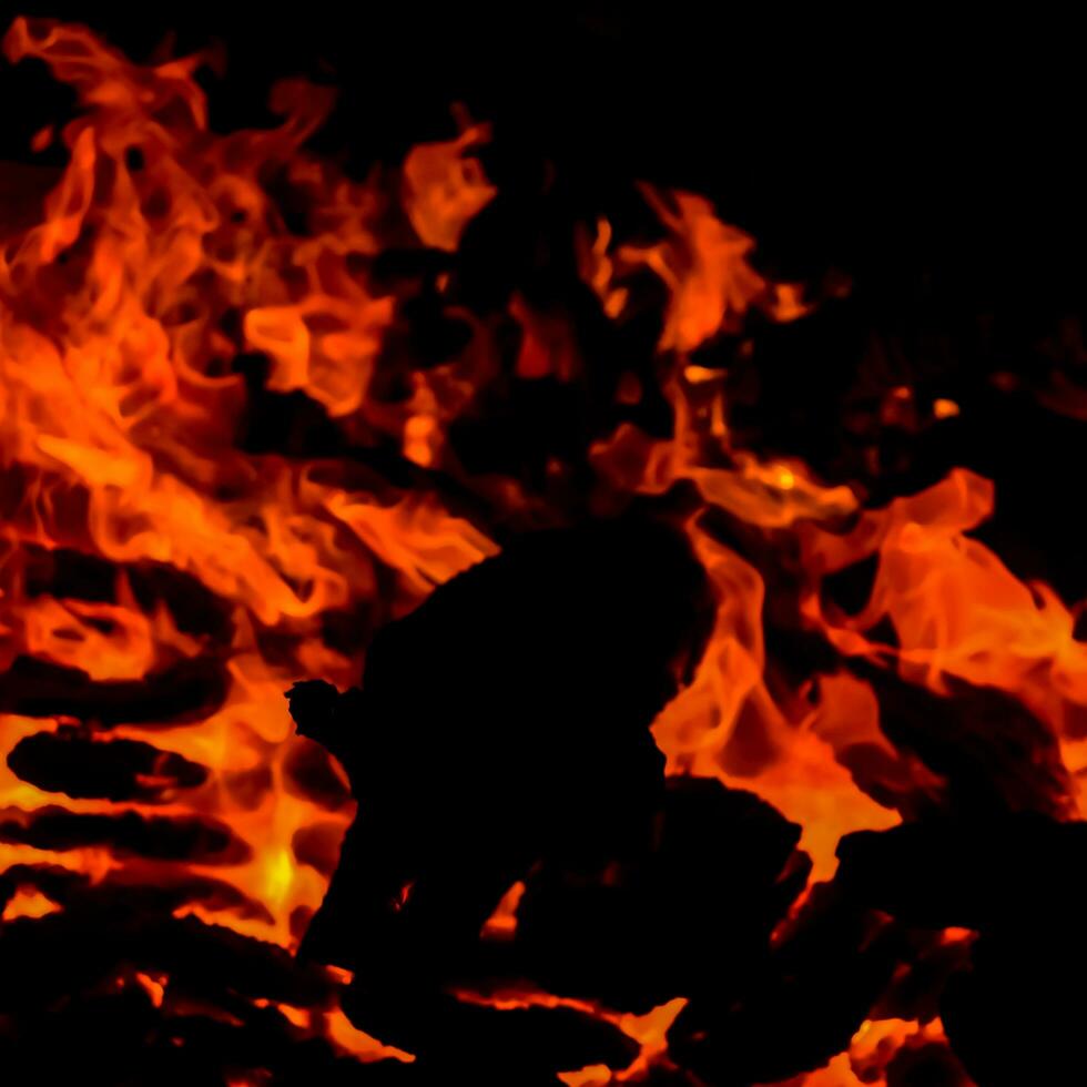 Fire flames on black background, Blaze fire flame texture background, Beautifully, the fire is burning, Fire flames with wood and cow dung bonfire photo