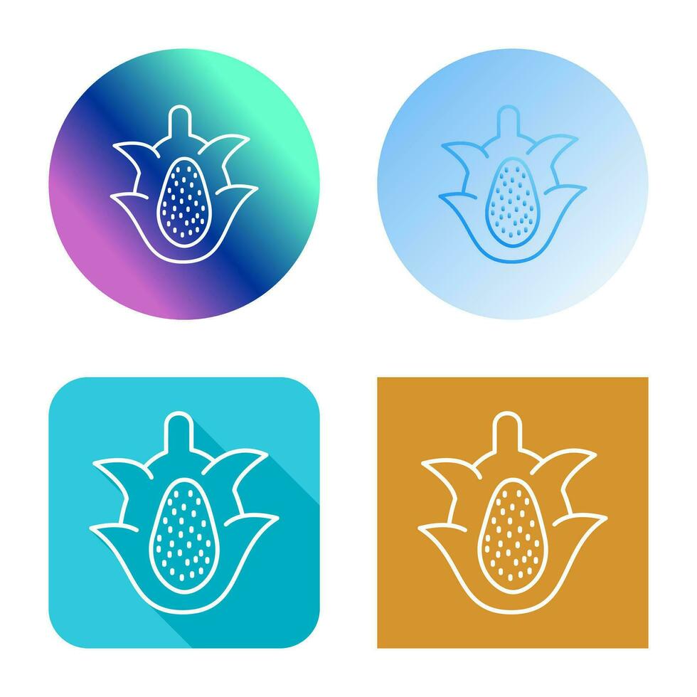 Dragon Fruit Vector Icon