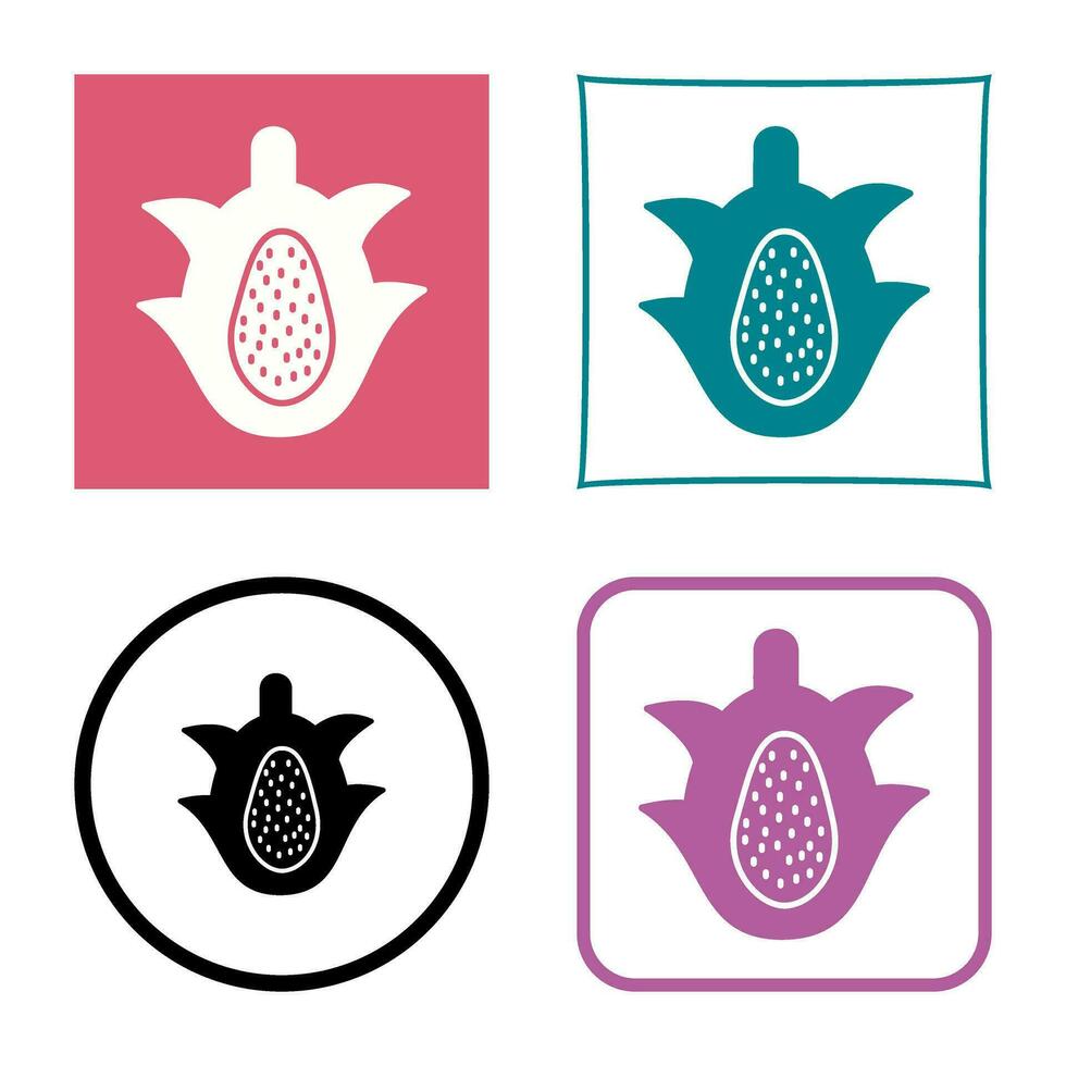 Dragon Fruit Vector Icon