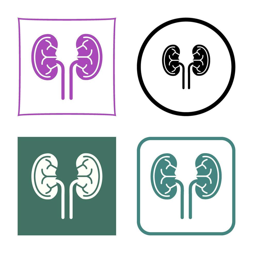 Kidney Vector Icon