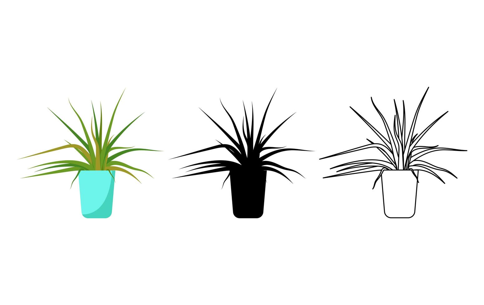 House plants in colors, black and white. Interior Scandinavian design. Design element. photo