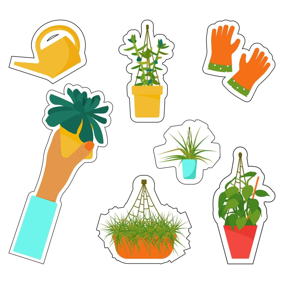 Stickers of house plants and care tools. Interior Scandinavian design. Design element. photo